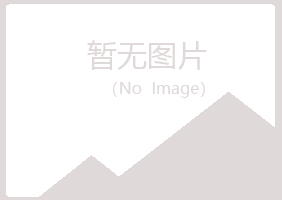 高密盼山化学有限公司